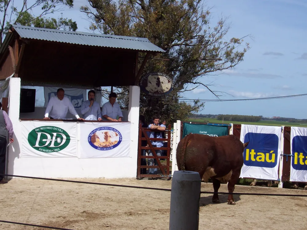 Daniel Dutra, Ricardo Reilly y Patricio Cortabarría dieron la bienvenida