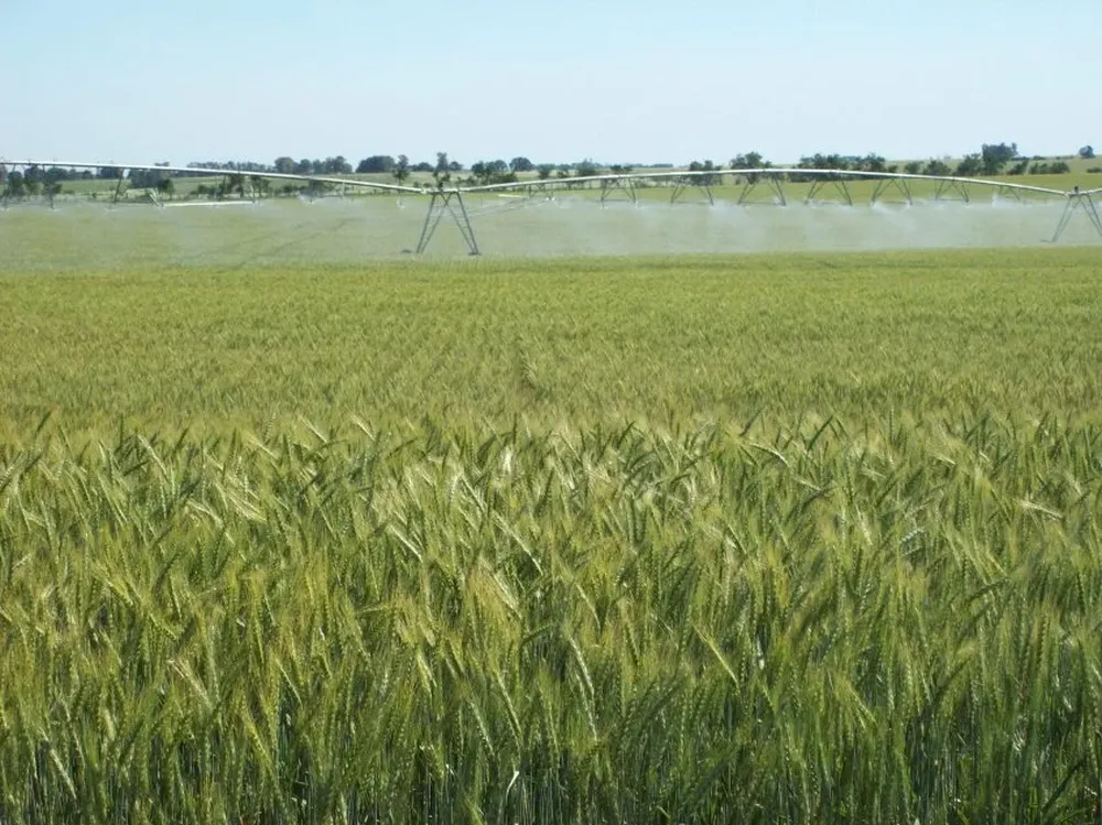 La intensificación sostenible en la mira de la cooperación con Finlandia