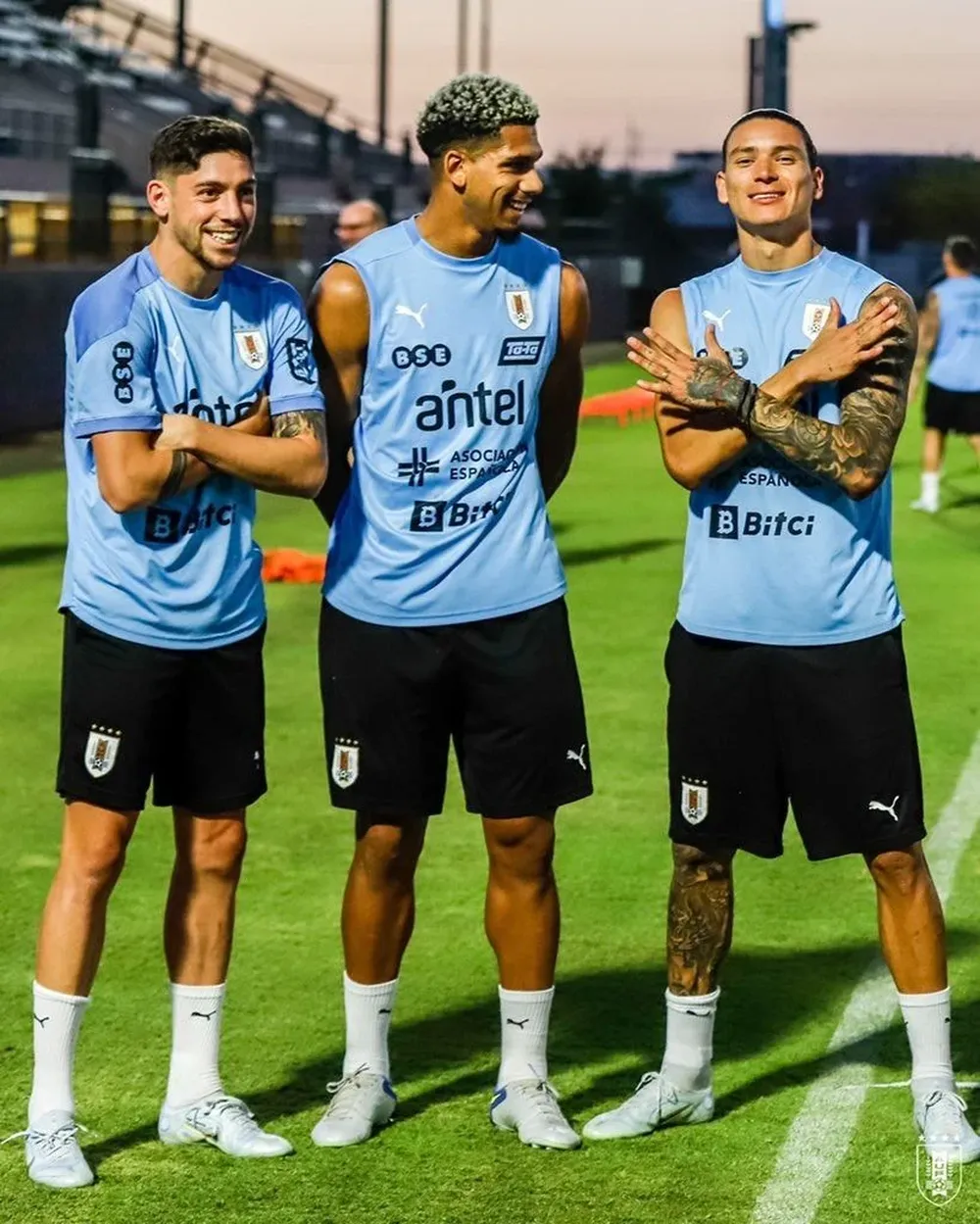 Valverde, Araujo y Darwin