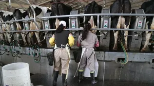 Calcar firmó acuerdo con trabajadores y mantendrá abierta sus dos plantas