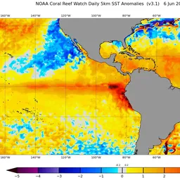 Metsul anuncia transición a El Niño con ráfagas de viento récord y piscina caliente en el Pacífico: todo lo que tenés que saber