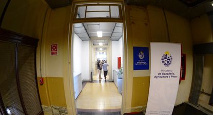 Las nuevas oficinas del MGAP.