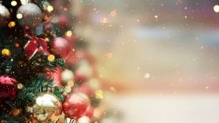 Fiestas navideñas: mirá los servicios afectados y sus horarios especiales