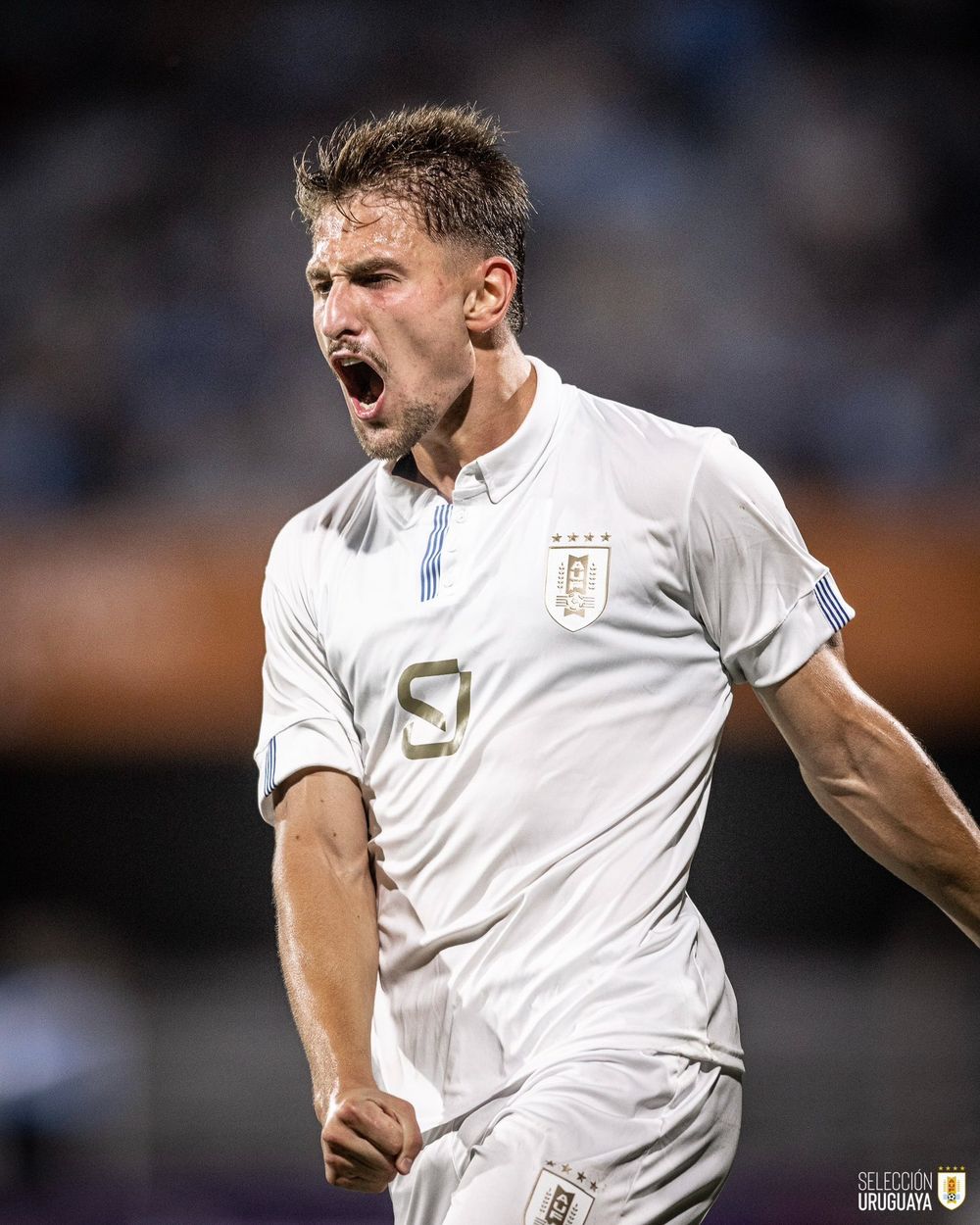 Bruno Damiani Bruno Damiani