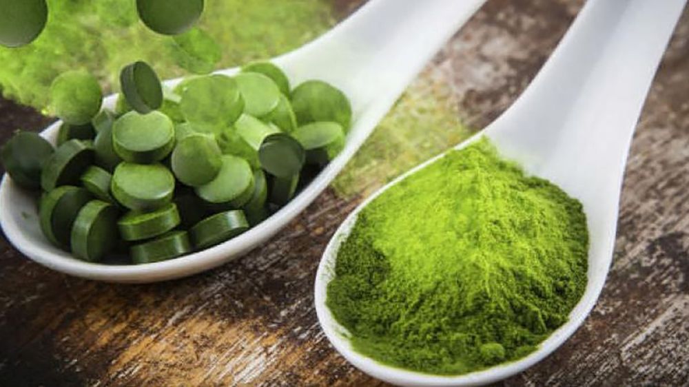 Espirulina, un alga nutritiva 