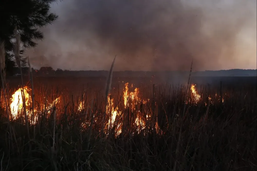 Bomberos trabajó en el incendio desde las 13:00 de este miércoles