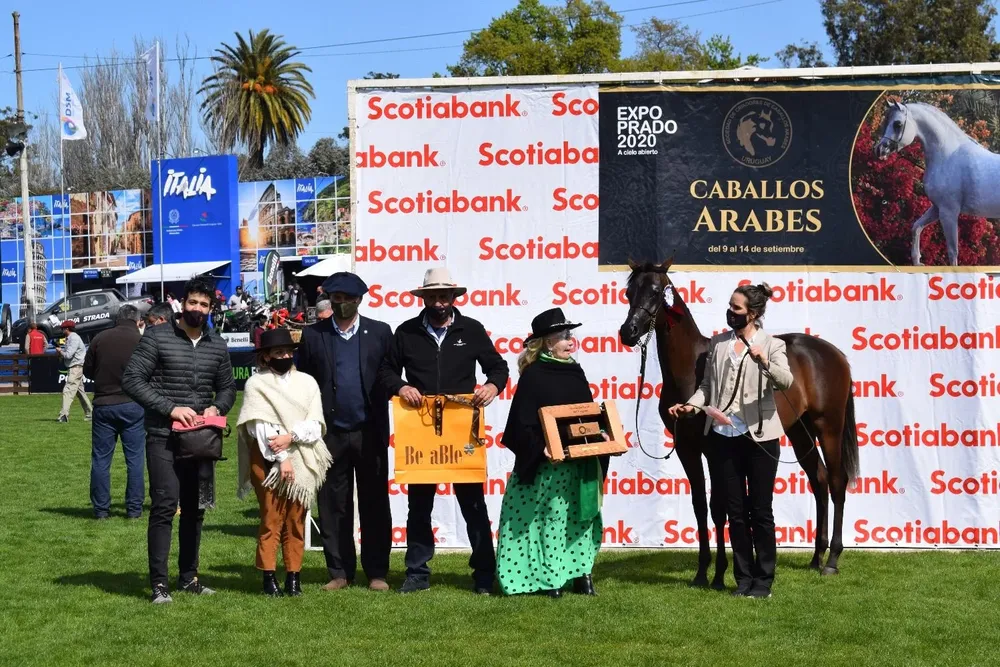 El Campeón Nacional Supremo y Gran Campeón, de Estancia Las Rosas.