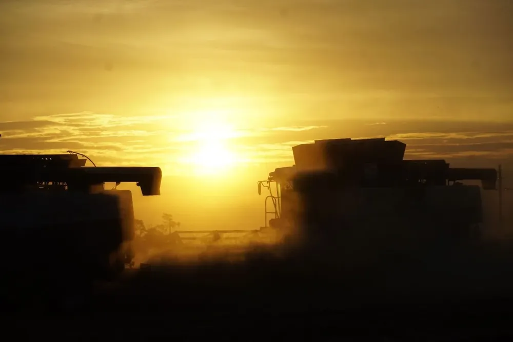 Agricultura en medio de la guerra.
