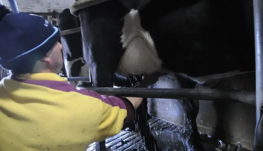 Varias decenas de tambos pudieron superar los trastornos ocasionados por el temporal del miércoles pasado
