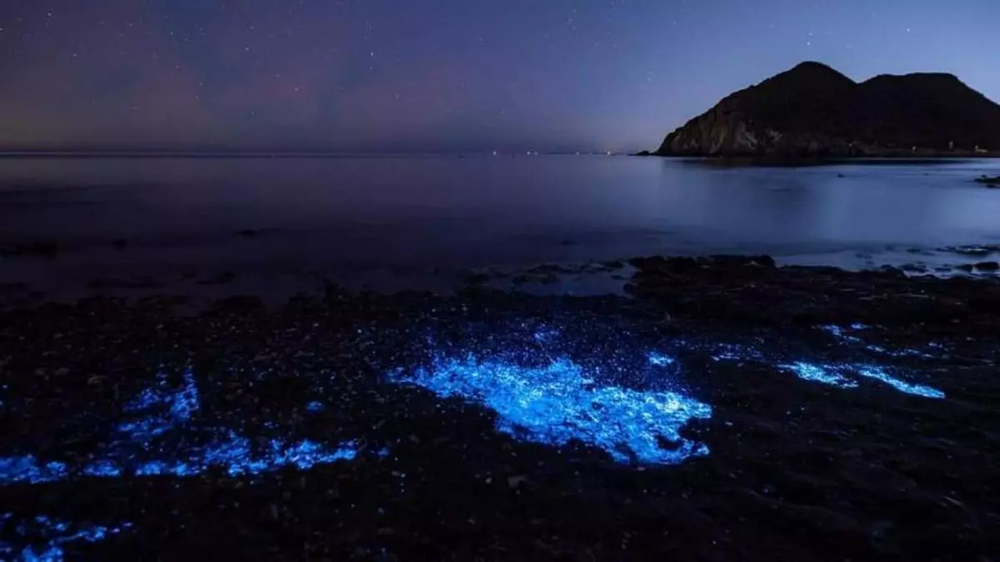 La bioluminiscencia, un fenómeno natural único que se registra en Málaga.