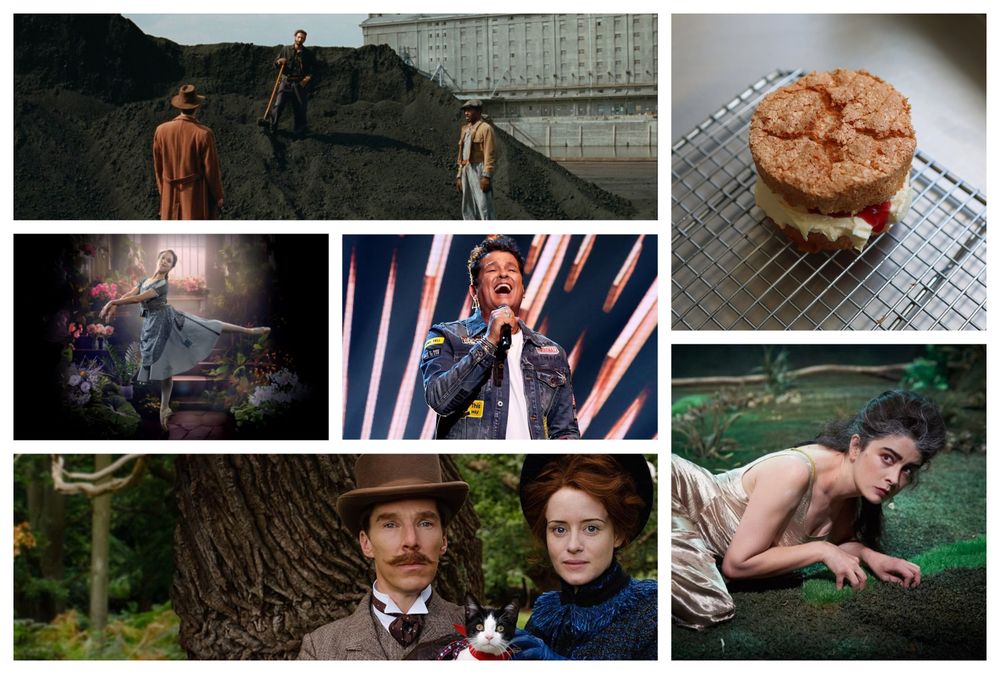 Los recomendados de Picnic!