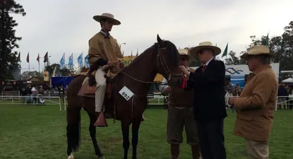 El embajador de Perú en Uruguay, coronando al Gran Campeón de la raza Peruano de Paso