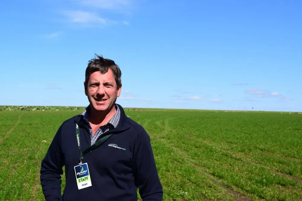 Juan Díaz, gerente de Investigación y Desarrollo de PGG Wrightson Seeds.