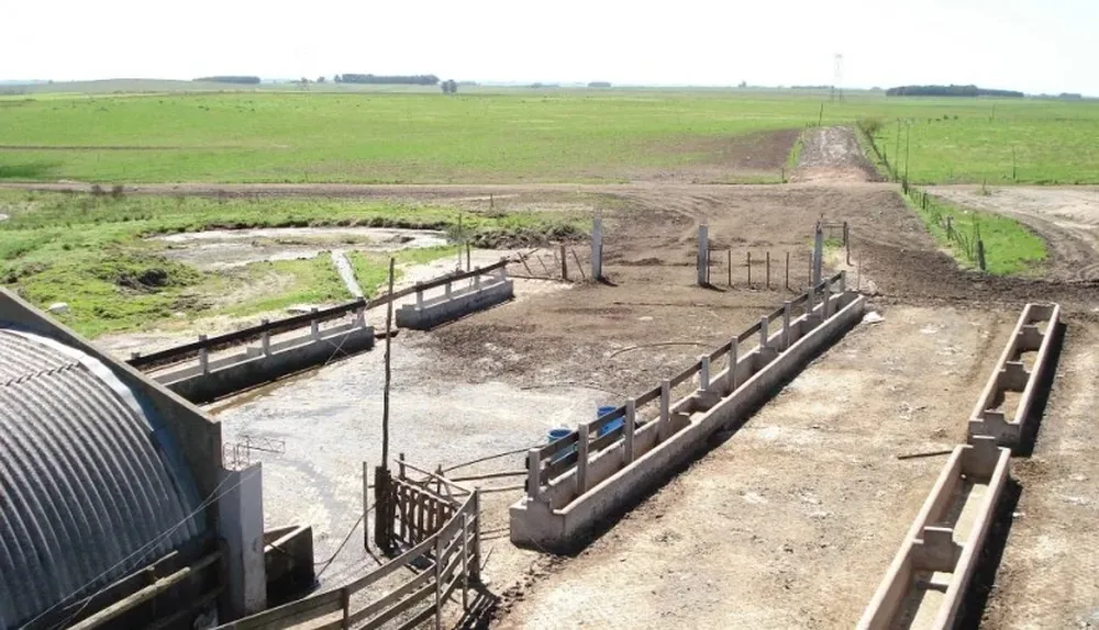El sector lechero enfrente el desafío de resolver el problemas de los efluentes de los tambos