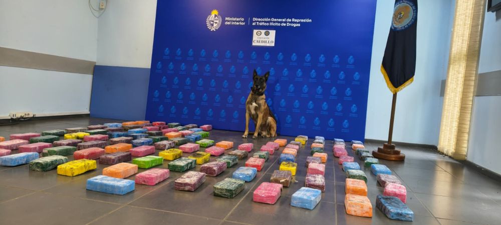 Incautaron más de 110 ladrillos de pasta base escondidos en camioneta que circulaba por Ruta 1