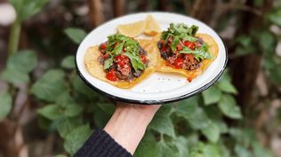 Una Jungla en la ciudad: el bar de Palermo que busca combinar la gastronomía y el impulso cultural de una de las fiestas más grandes de Montevideo