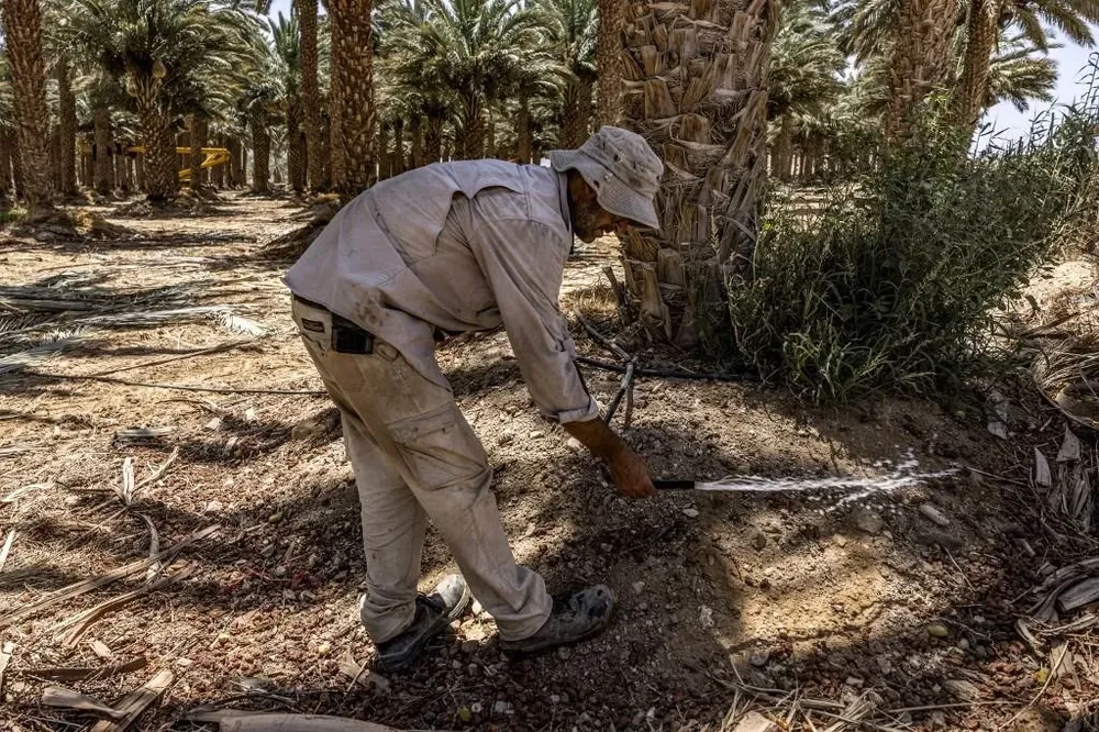 Todas las aguas residuales de Eilat son tratadas, declara a AFP Arik Ashkenazi, jefe de ingeniería en Ein Netafim
