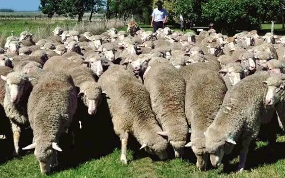 El remate se hará en la Sociedad Rural de Durazno.