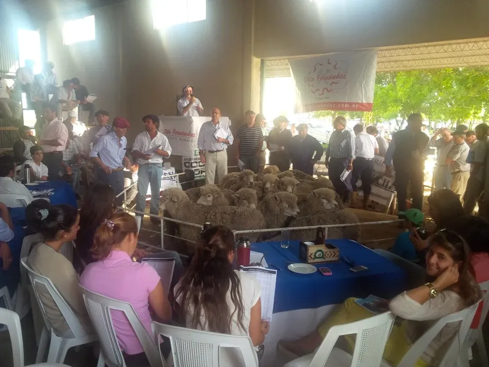 Hubo compradores selectivos y de lotes