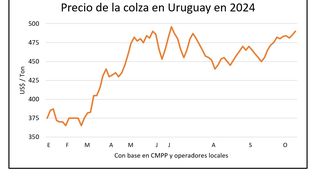 Mercado de granos, Blasina y Asociados.