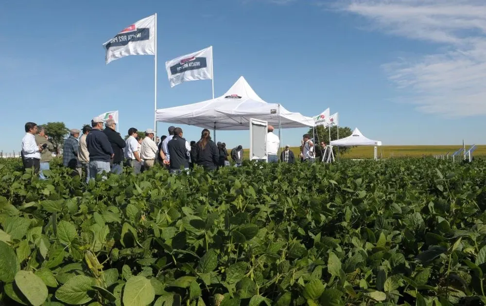 Los productores pudieron apreciar la nueva soja en el campo