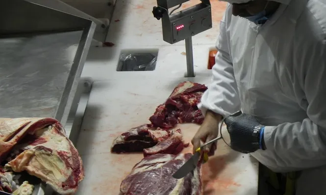 Baja la carne y el asadito dominguero no dolerá tanto