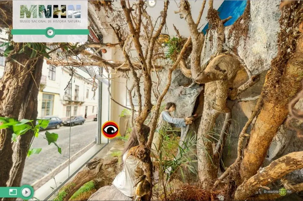 Así se ve la exposición Murciélagos del Uruguay.