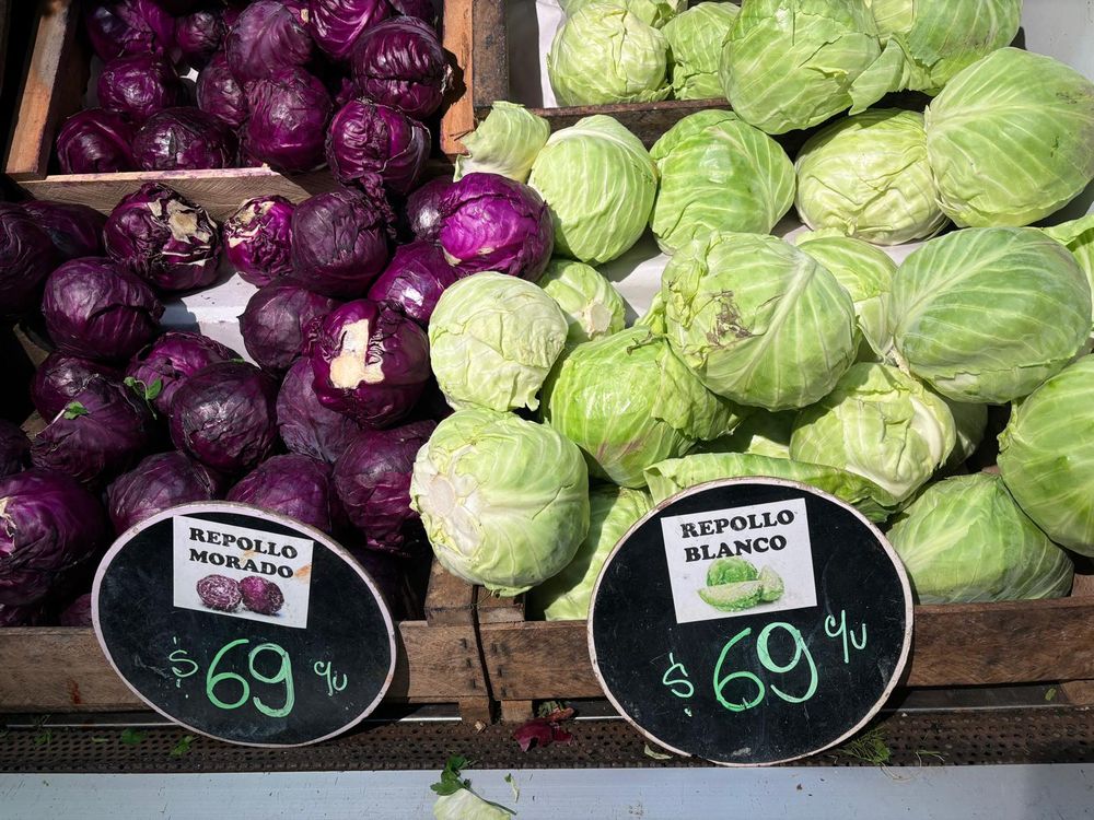 WhatsApp Image 2024-09-16 at 21.49.08 (1).jpeg