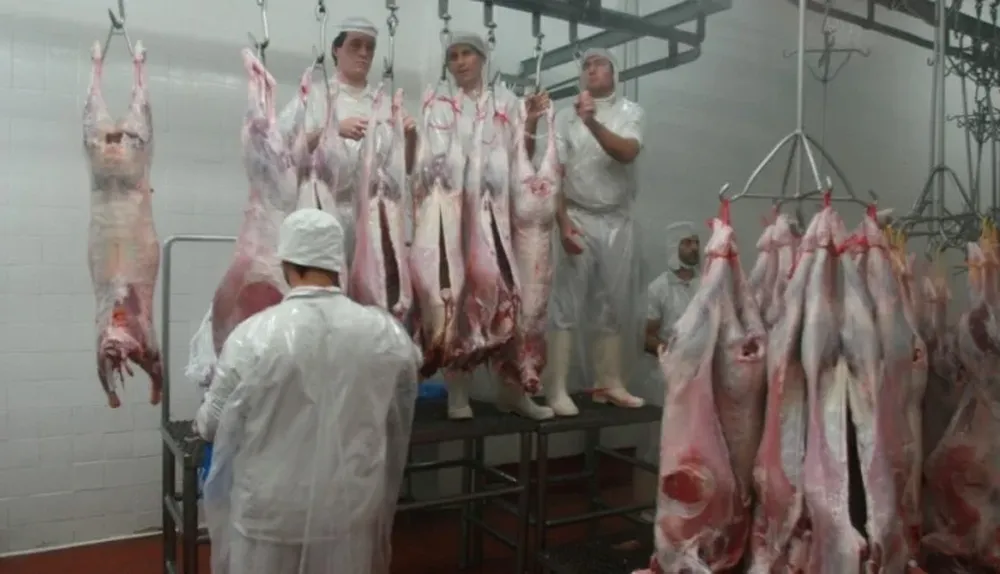 Uruguay está cerca de ingresar con carne ovina con hueso a mercados de mayor valor