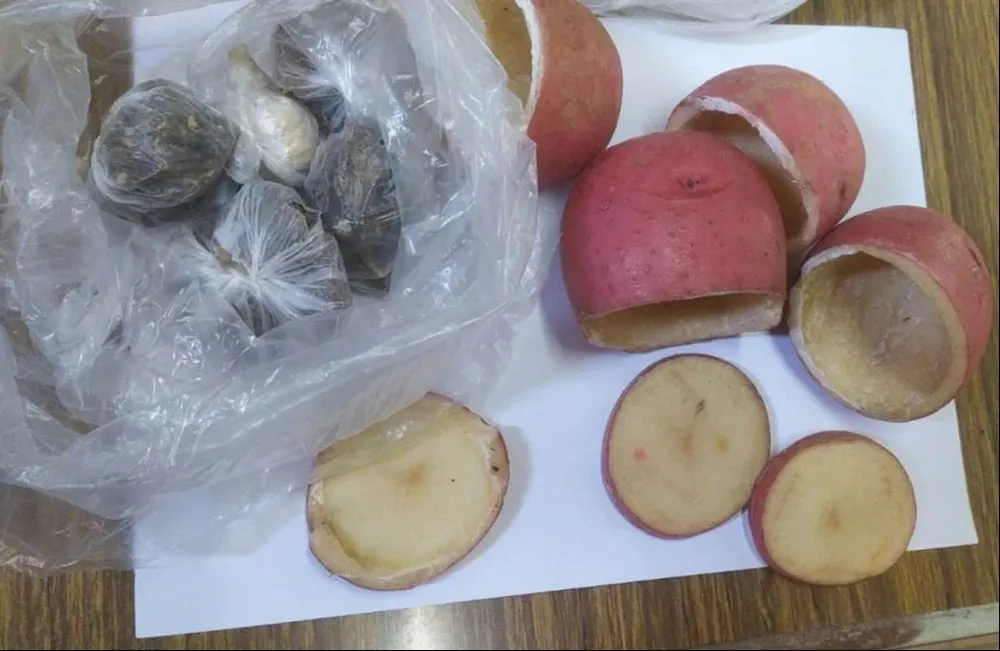 Así querían ingresar la droga a la Cárcel de Canelones