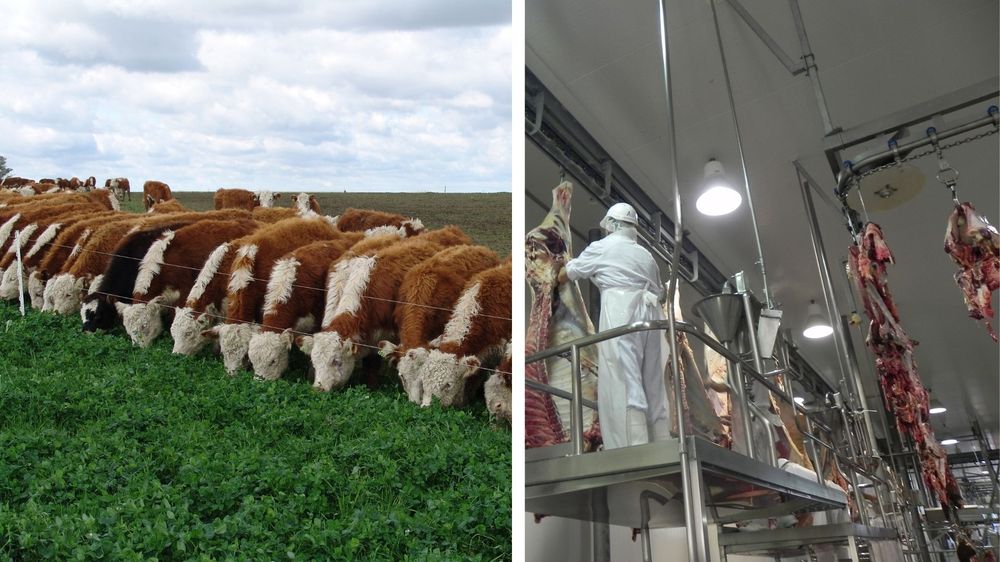 Foro Mercosur de la Carne: elogio al acuerdo entre el Mercosur y la UE.