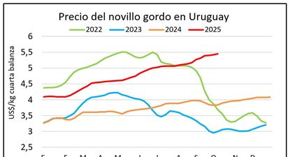 Faena de vacunos, precio de las haciendas y valor de la carne exportada: nuevos datos en el mercado ganadero.