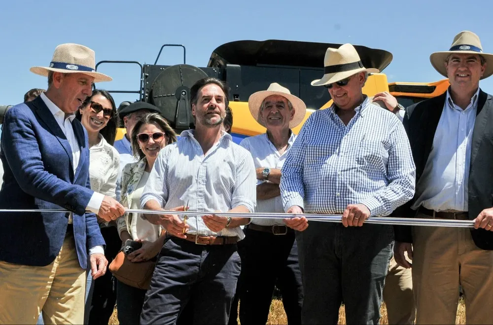 Acto inaugural de la cosecha de trigo.