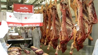 Fuerte aumento de las exportaciones de carne