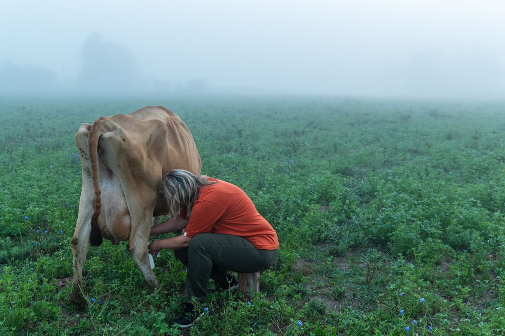 Mujeres rurales, indispensables, también en el medio rural.