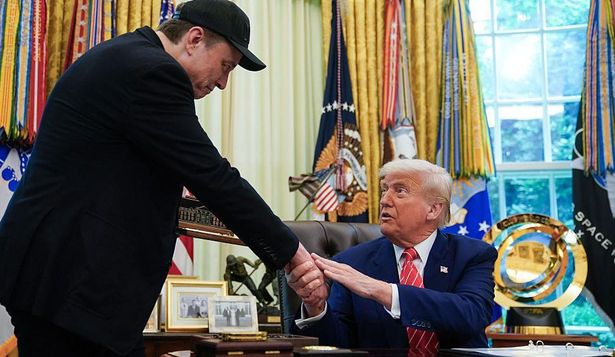 El "divorcio" de Musk y Trump no sería fácil.