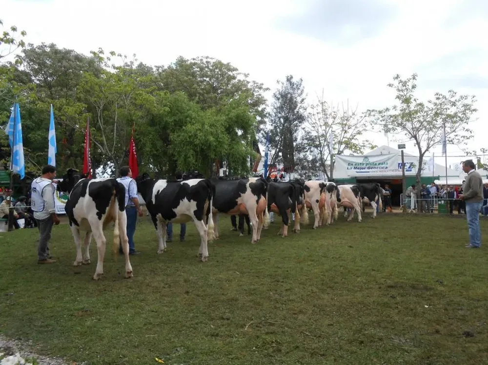 Tamberos aspíran a un marco legal similar al forestal.