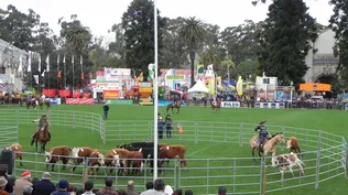 Rural del Prado