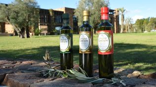 Aceite de oliva Colinas de Garzón recibe importante premio y se consolida como el mejor del Uruguay