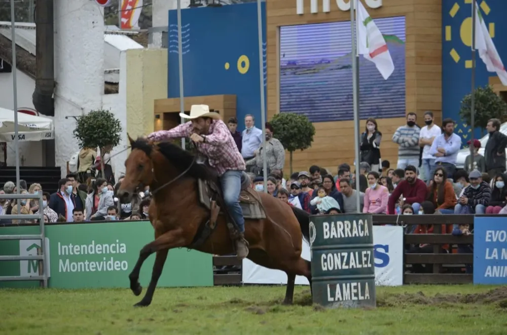 Bela Smarvel, de El Albardón, con Juan Ache como jinete y en la prueba de barriles.