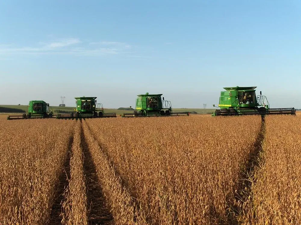 Aseguran que los precios bajarán pero la demanda seguirá firme