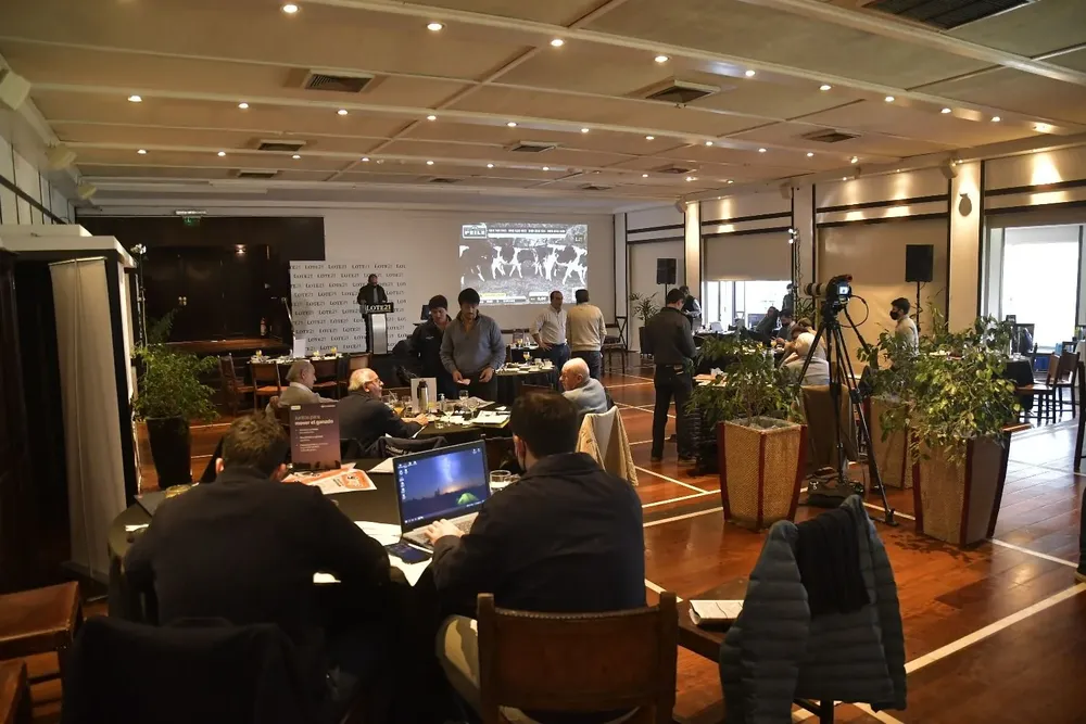 La venta de Lote 21 comenzará a la hora 9.