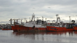 Llamado laboral para pesca con salarios de hasta $ 10.000 diarios: en 24 horas se anotaron más de 1.200 postulantes