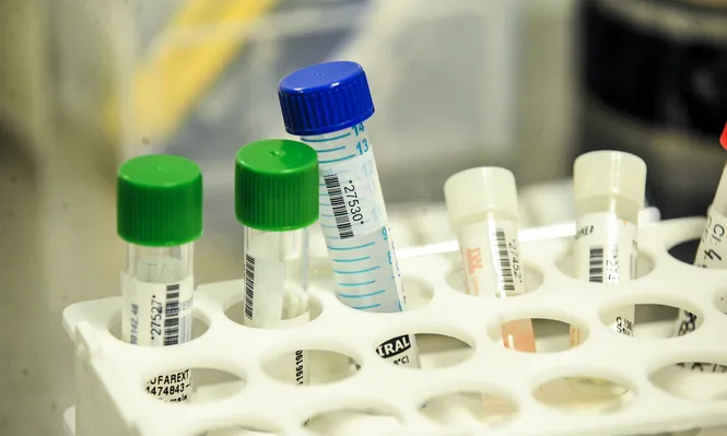 Tres casos nuevos de coronavirus: dos en Treinta y Tres y uno en Montevideo