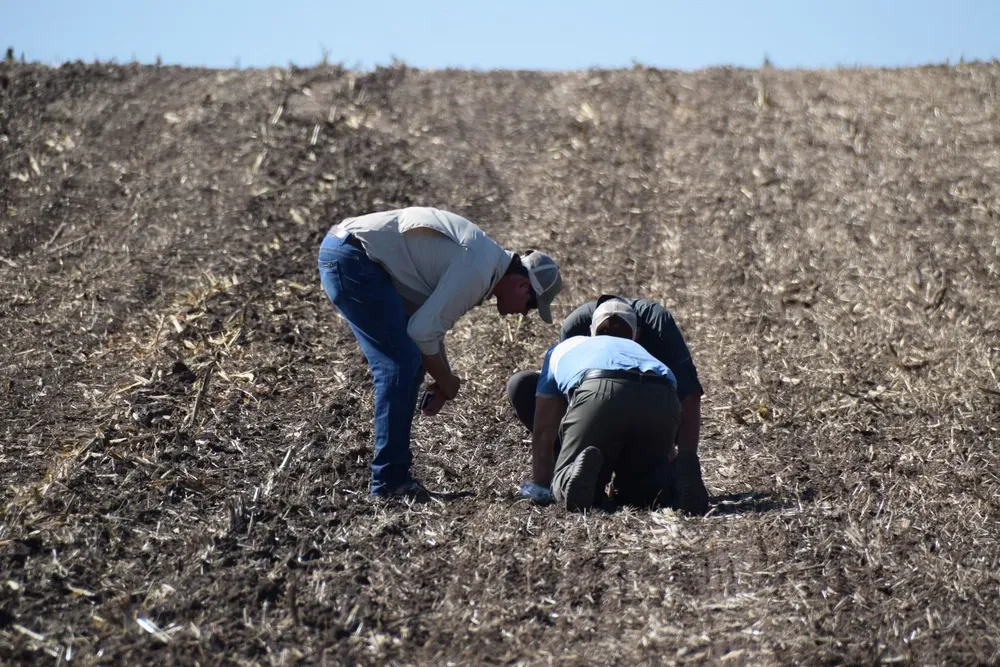 Productores chequean cómo se implantó la semilla en la campaña de invierno.