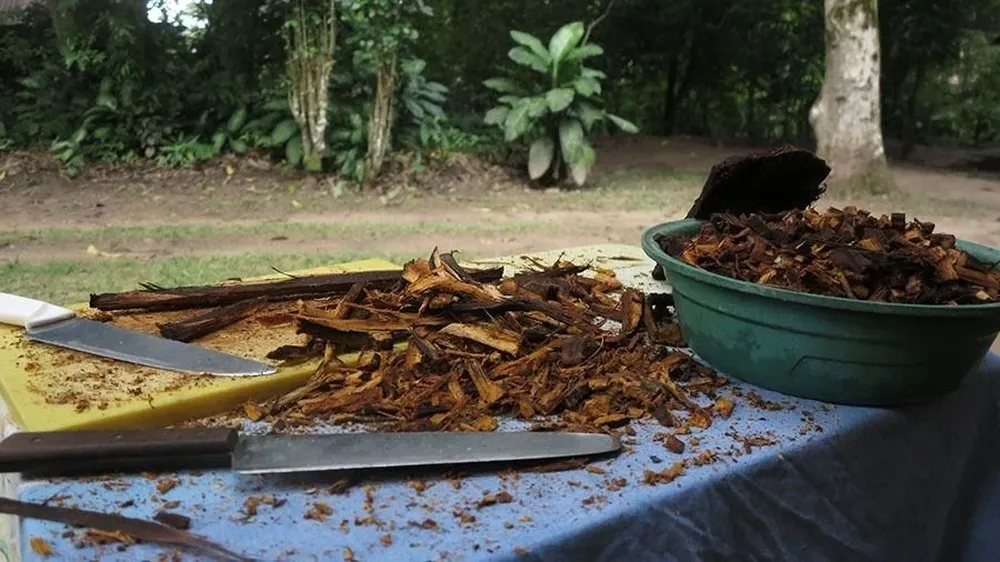 La medicina tradicional es “el conocimiento, la habilidad y la práctica usada para mantener la salud y prevenir, diagnosticar y tratar las enfermedades físicas y mentales”