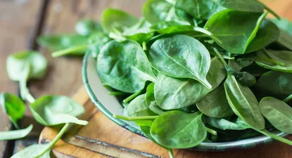 El Observador | 1701286491823.webp