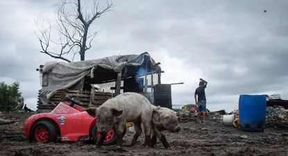 El Observador | _INE7261_1.webp