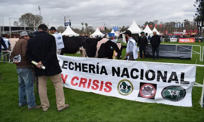 Los tamberos temen que para 2020 en el cartel tal vez “crisis” ceda su espacio a “fundida”.