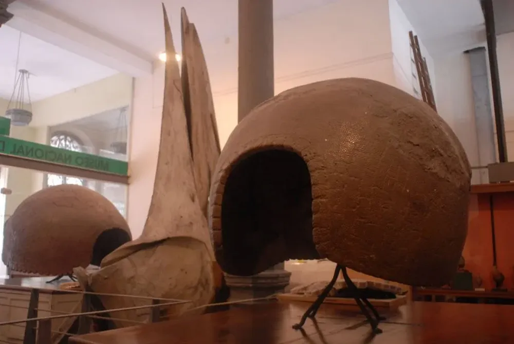 El Museo Nacional de Historia Natural tiene colecciones de zoología, botánica y paleontología.